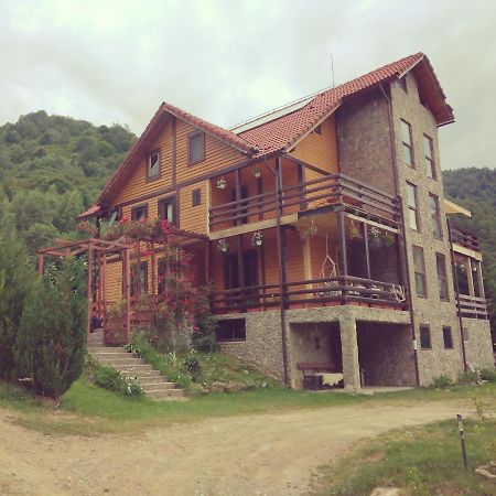 Cabana Soarelui Retezat Nucsoara  Buitenkant foto