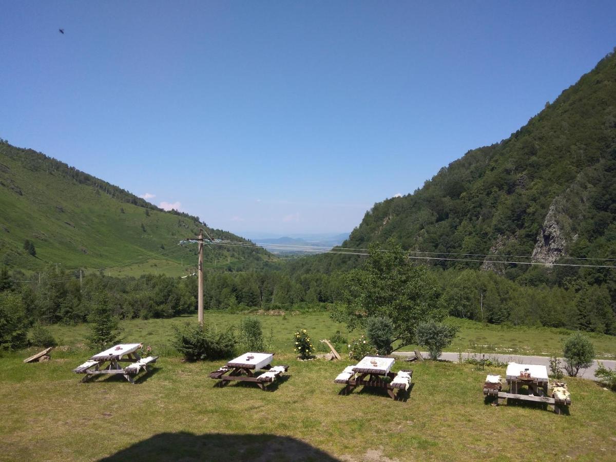 Cabana Soarelui Retezat Nucsoara  Buitenkant foto