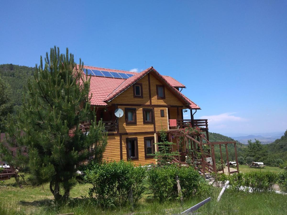 Cabana Soarelui Retezat Nucsoara  Buitenkant foto