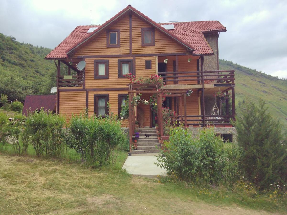 Cabana Soarelui Retezat Nucsoara  Buitenkant foto