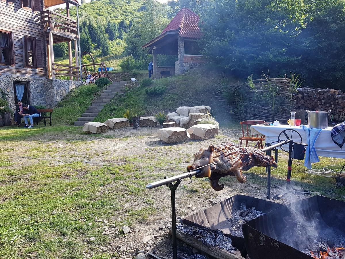 Cabana Soarelui Retezat Nucsoara  Buitenkant foto